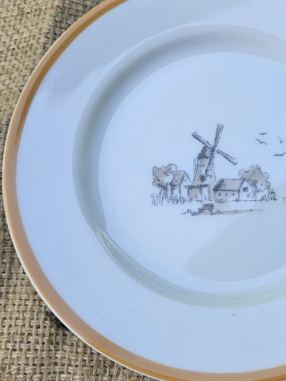 Williams-Sonoma Les Fermiers Salad Plate Windmill Orange Harvest Gold Trim